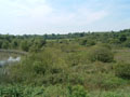 celtic park - ireland is green.jpg